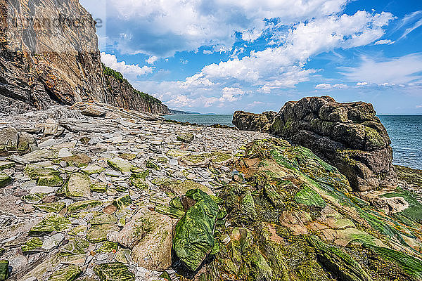 Grüne  moosbewachsene Felsen an der Atlantikküste von Cape Enrage; Saint John  New Brunswick  Kanada