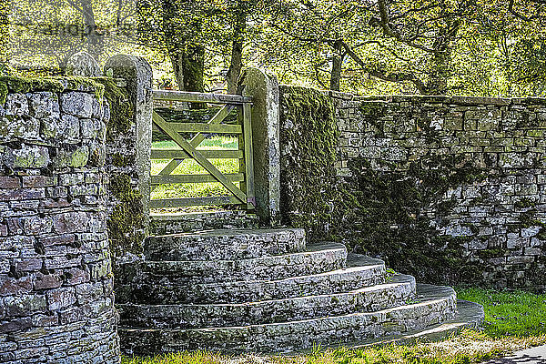 Halbrunde Steinstufen zu einem Tor  das zu einem Kirchhof führt; Carrshield  Northumberland  England