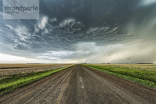 Schotterstraße  die in der Ferne zu dramatischen Gewitterwolken führt; Val Marie  Saskatchewan  Kanada