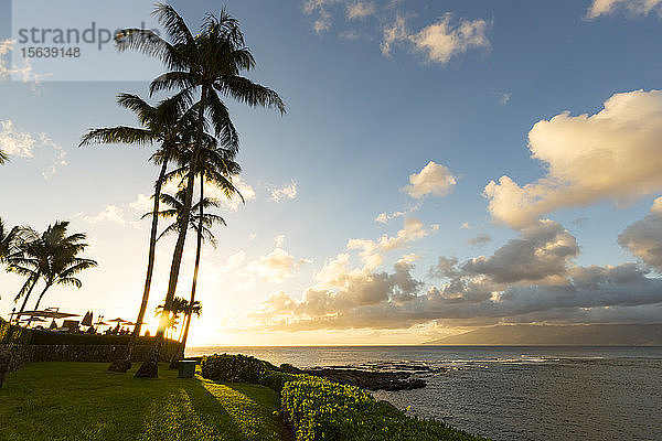 Silhouette von Palmen und Sonnenschirmen auf der Terrasse eines Restaurants am Ufer der Kapalua Bay bei Sonnenuntergang; Ka'anapali  Maui  Hawaii  Vereinigte Staaten von Amerika