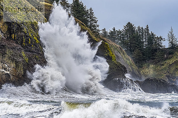 Eine große Welle bricht an den Klippen von Cape Disappointment an der Mündung des Columbia River; Ilwaco  Washington  Vereinigte Staaten von Amerika