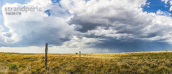 Weite Ackerflächen in der Prärie unter einem weiten Himmel mit Wolken und einem Sturm in der Ferne; Val Marie  Saskatchewan  Kanada
