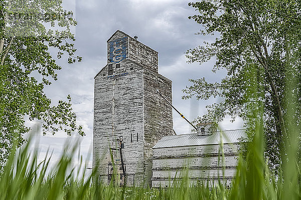 Verwitterter Getreideelevator in der Prärie; Saskatchewan  Kanada