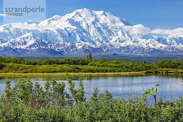 Blick auf Denali und den Reflection Pond von der Parkstraße aus auf dem Weg zum Wonder Lake  Denali National Park and Preserve; Alaska  Vereinigte Staaten von Amerika