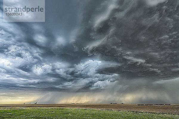 Dramatische Gewitterwolken während eines Gewitters in der Prärie; Val Marie  Saskatchewan  Kanada