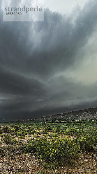 Dramatische dunkle Gewitterwolken über Buschland; Marathon  Texas  Vereinigte Staaten von Amerika