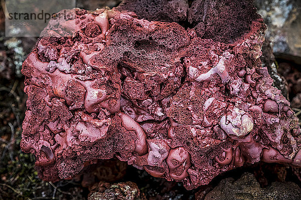 Rotes Vulkangestein im Kerid-Krater  einem vulkanischen Kratersee in der Region Grimsnes; Island