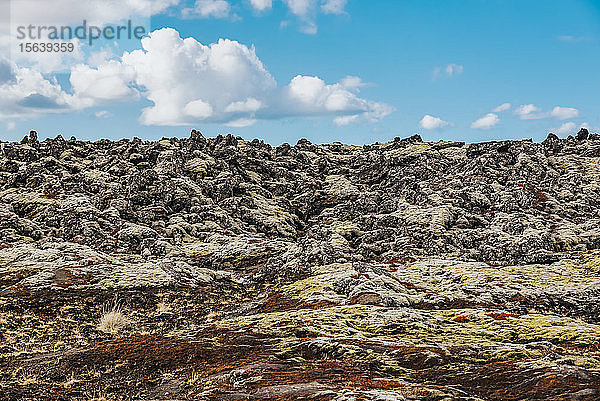 Lavafeld  Geothermisches Gebiet außerhalb der Blauen Lagune  Halbinsel Reykjanes; Island