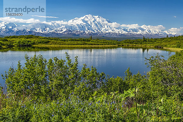 Blick auf Denali und den Reflection Pond von der Parkstraße aus auf dem Weg zum Wonder Lake  Denali National Park and Preserve; Alaska  Vereinigte Staaten von Amerika