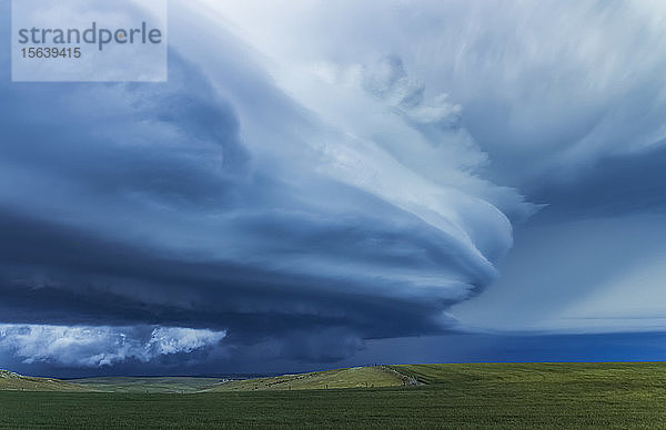 Dramatische dunkle Gewitterwolken über Farmland; Guymon  Oklahoma  Vereinigte Staaten von Amerika