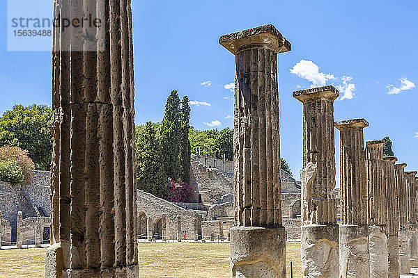 Ruinen von Säulen in Pompeji; Pompeji  Provinz Neapel  Kampanien  Italien