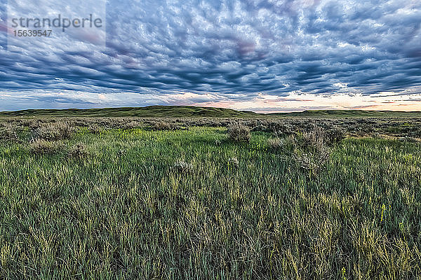 Dramatische Wolken über der Prärie  Grassland National Park; Val Marie  Saskatchewan  Kanada