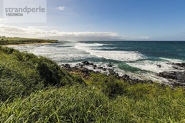 Üppiges grünes Laub und Blick auf die Wellen und den Ko'okipa Beach vom Ho'okipa Lookout entlang der North Shore Küste in der Nähe von Paia; Maui  Hawaii  Vereinigte Staaten von Amerika