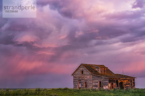 Verlassene Scheune auf Ackerland mit rosa leuchtenden Gewitterwolken; Val Marie  Saskatchewan  Kanada