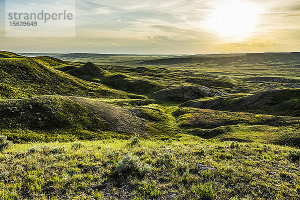Weite Landschaft  die sich in der Abenddämmerung bis zum Horizont erstreckt  im Grasslands National Park; Val Marie  Saskatchewan  Kanada