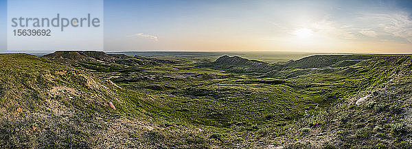 Panorama einer weiten Landschaft  die sich in der Abenddämmerung bis zum Horizont erstreckt  im Grassland National Park; Val Marie  Saskatchewan  Kanada