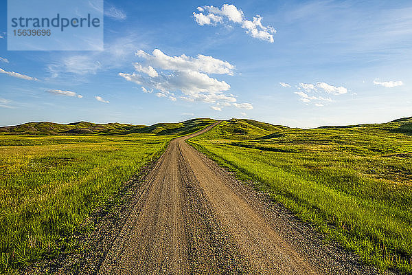 Schotterstraße  die in die Ferne führt  Grasslands National Park; Val Marie  Saskatchewan  Kanada