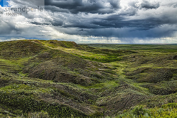 Dramatische Gewitterwolken während eines Regens in der Prärie  Grassland National Park; Val Marie  Saskatchewan  Kanada