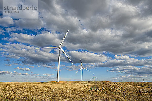 Windturbinen auf einem weiten Ackerland unter einem bewölkten Himmel; Saskatchewan  Kanada
