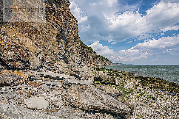 Atlantikküste bei Cape Enrage; Saint John  New Brunswick  Kanada