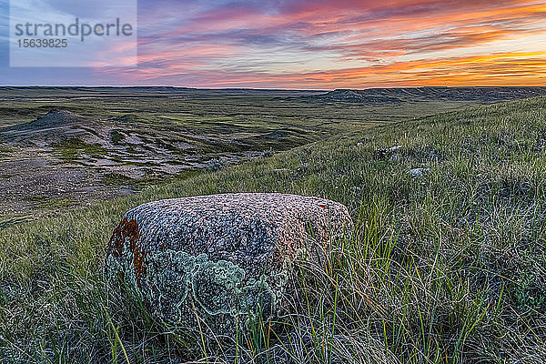 Weite Landschaft  die sich bei Sonnenuntergang bis zum Horizont erstreckt  im Grasslands National Park; Val Marie  Saskatchewan  Kanada