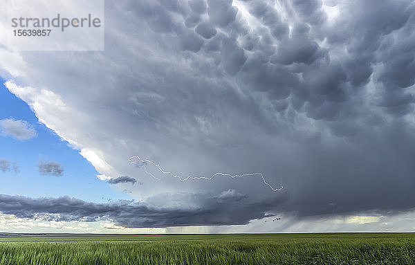 Ein Blitz umkreist den Aufwind einer niederschlagsarmen Superzelle  die über die High Plains driftet; Corado  Vereinigte Staaten von Amerika