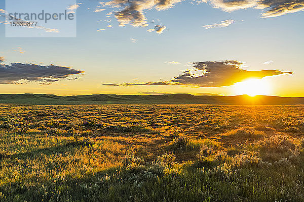 Strahlend goldener Sonnenuntergang im Grasslands National Park; Val Marie  Saskatchewan  Kanada