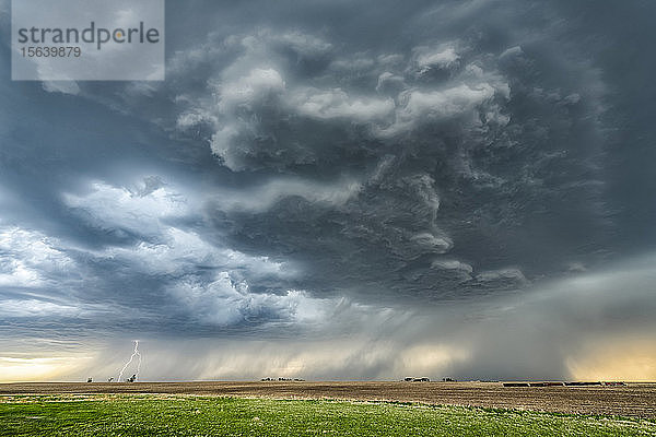 Dramatische Gewitterwolken während eines Gewitters in der Prärie; Val Marie  Saskatchewan  Kanada