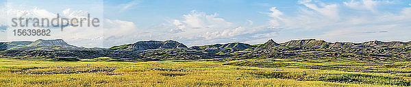 Panorama der weiten Landschaft im Grasslands National Park; Val Marie  Saskatchewan  Kanada