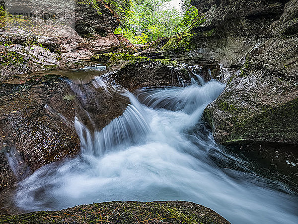 Wasserfall und ein ruhiger Bach in einem Wald; Saint John  New Brunswick  Kanada