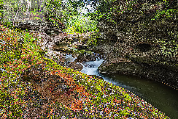 Kaskadenförmiger Bach über Felsen in einem Wald; Saint John  New Brunswick  Kanada