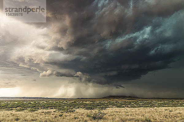 Dramatische dunkle Gewitterwolken über Buschland; New Mexico  Vereinigte Staaten von Amerika