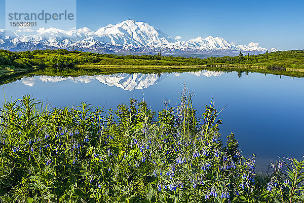 Blick auf Denali und seine Spiegelung im Reflection Pond  aufgenommen von der Parkstraße auf dem Weg zum Wonder Lake  Denali National Park and Preserve; Alaska  Vereinigte Staaten von Amerika