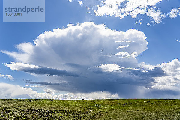 Weite Ackerflächen in der Prärie unter einem weiten Himmel mit Wolkenformationen und einem Sturm in der Ferne; Val Marie  Saskatchewan  Kanada
