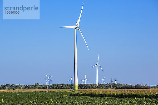 Windturbinen auf Ackerland mit einem Ackerfeld im Vordergrund; Saint Remi  Quebec  Kanada