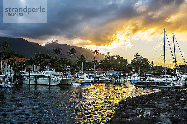 Yachten  Segelboote und Ausflugsboote im Hafen von Lahaina bei Sonnenuntergang mit vulkanischen Inselgipfeln in der Ferne; Lahaina  Maui  Hawaii  Vereinigte Staaten von Amerika