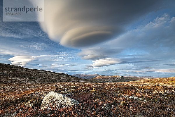 Herbstliche Tundralandschaft im Dovrefjell  Lenticularis-Wolke  Dovrefjell-Sunndalsfjella-Nationalpark  Hjerkinn  Norwegen  Europa