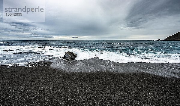Küste mit schwarzem Sandstrand  Red Rocks Walkway  Owhiro Bay  Wellington  Nordinsel  Neuseeland  Ozeanien