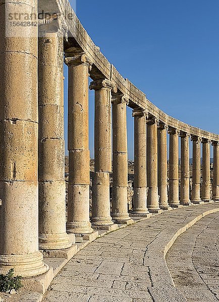 Säulen am Oval Plaza  Forum  Jerash  Jordanien  Asien