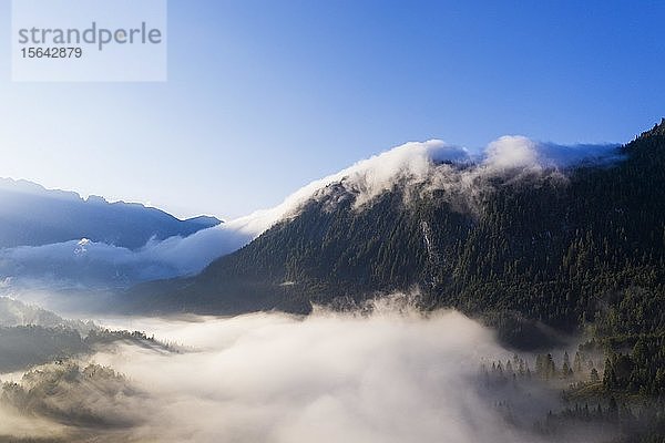 Grünkopf  nebelverhangener Gipfel  Ferchenseewände  bei Mittenwald  Luftbild  Werdenfelser Land  Wettersteingebirge  Oberbayern  Bayern  Deutschland  Europa