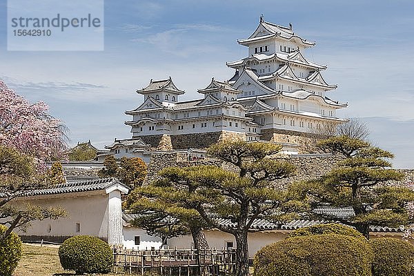 Burg Himeji  Himeji-j?  Shirasagij? oder Burg Weißer Reiher  Himeji  Präfektur Hy?go  Japan  Asien