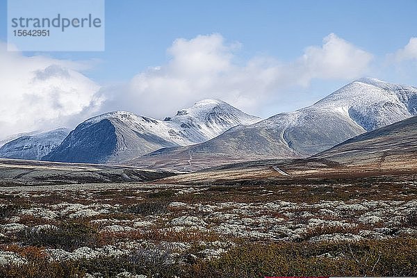 Herbstlandschaft in Fjäll  Rondane Nationalpark  Norwegen  Europa