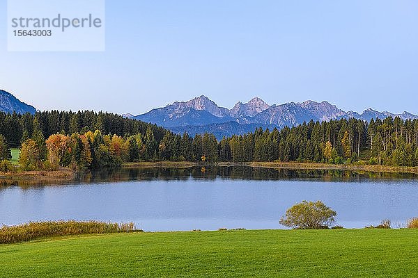 Hegratsrieder See  bei Füssen  Allgäu  Bayern  Deutschland  Europa