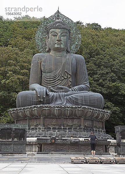 Tongil Daebul  Großer Buddha der Wiedervereinigung  Seoraksan-Nationalpark  Gangwon-do  Südkorea  Asien