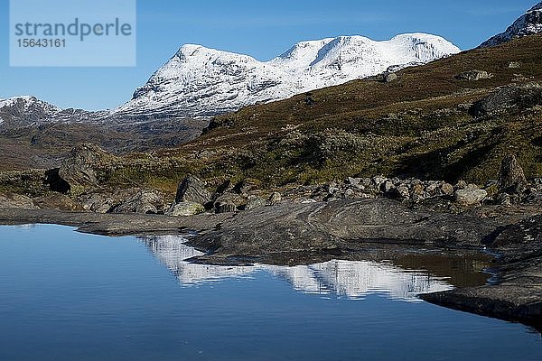 Okstindan-Gebirge  auch Okstindene  mit Gletscher Okstindbreen  Wasserspiegelung in kleinem Bergsee  Nordland  Norwegen  Europa
