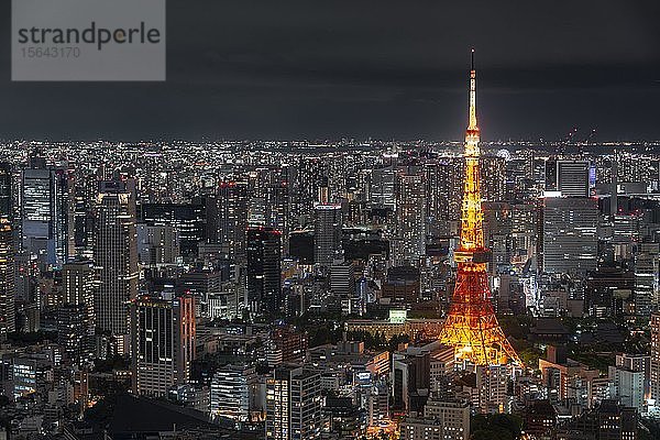 Blick von Roppongi Hills  Stadtansicht von Tokio bei Nacht  Wolkenkratzer  Tokyo Tower  Tokio  Japan  Asien