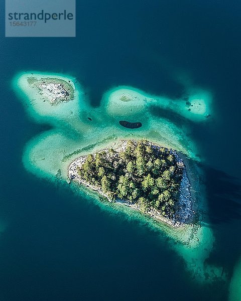 Schildkröteninsel  türkisfarbenes Wasser  Koniferen  Insel  Eibsee  Deutschland  Europa