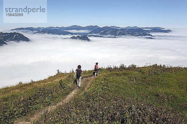 Wanderer auf dem Wanderweg vom Fellhorn zum Schlappoldkopf  im Hintergrund Nebel über dem Alpenvorland  bei Oberstdorf  Oberallgäu  Allgäu  Bayern  Deutschland  Europa