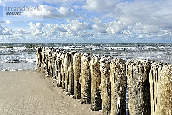 Buhnen  Holzpfähle als Wellenbrecher am Strand bei Kampen  Sylt  Nordfriesische Insel  Nordsee  Nordfriesland  Schleswig-Holstein  Deutschland  Europa