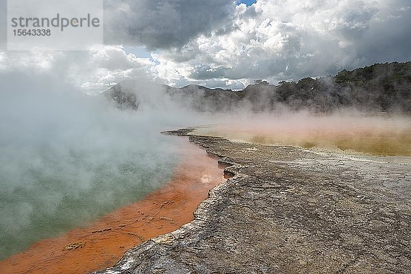 Champagne Pool  heiße Quelle  Waiotapu Geothermal Wonderland  Rotorua  Nordinsel  Neuseeland  Ozeanien